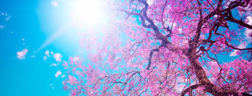 reiki, mediumship, psychic, readings, sessions, northumberland, belleville, ontario, port hope, kingston, cobourg, colborne, castleton, napanee